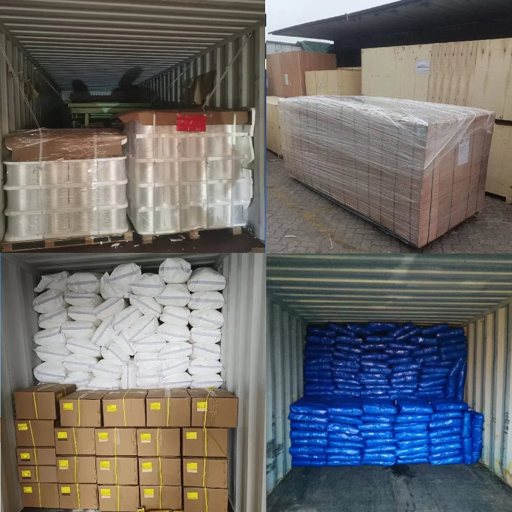 Full Container Sea Shipping Agent Ocean Freight Forwarder From China to Altamira, Mexico