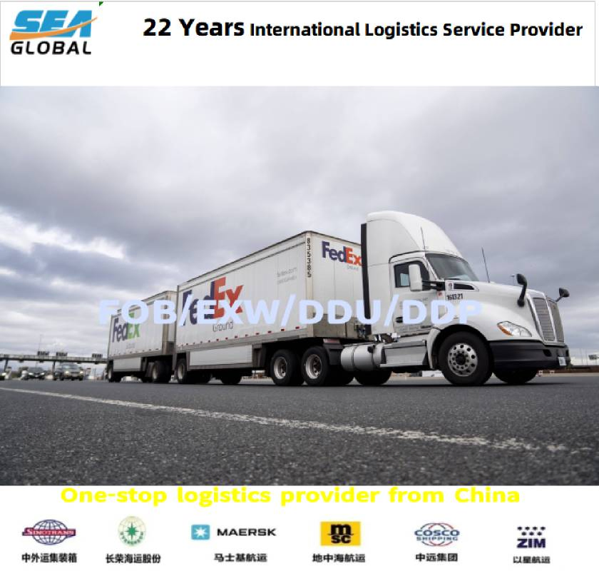 Fob Shanghai to Italy LCL Logistics Forwarder Cost-Effective Timely Shipping