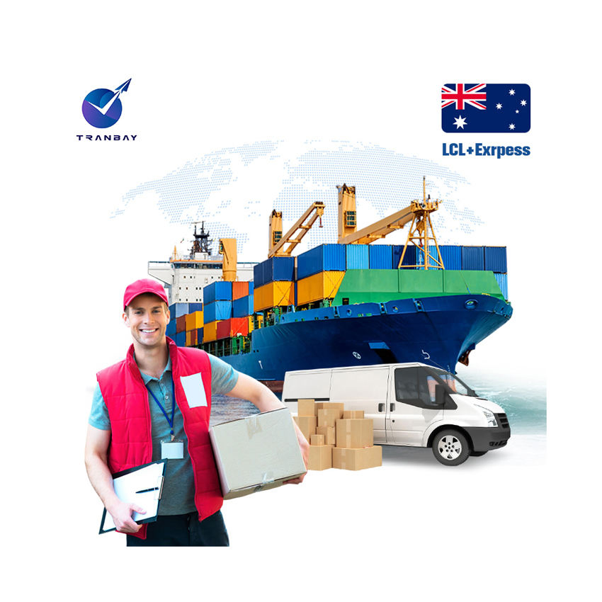 Professional International Shipping Forwarding Agent for LCL+Express From China to Canada Sea Freight Option Available