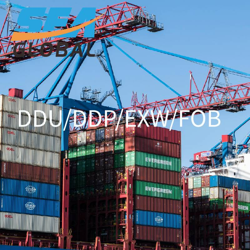 Fca LCL Freight Forwarder Logistics to Netherlands Belgium Germany Denmark UK