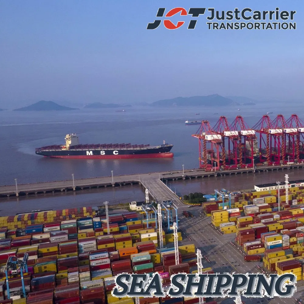Sea Shipping Freight Forwarder Container Transportation to Asuncion Puerto Seguro Fluvial, Paraguay