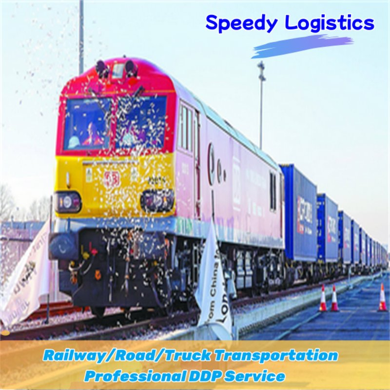 Sea Cargo Shipping Agent Freight Forwarder Shipping to India, Morocco, Nigeria, Turkey, USA, UK International Shipping Company Logistics Service