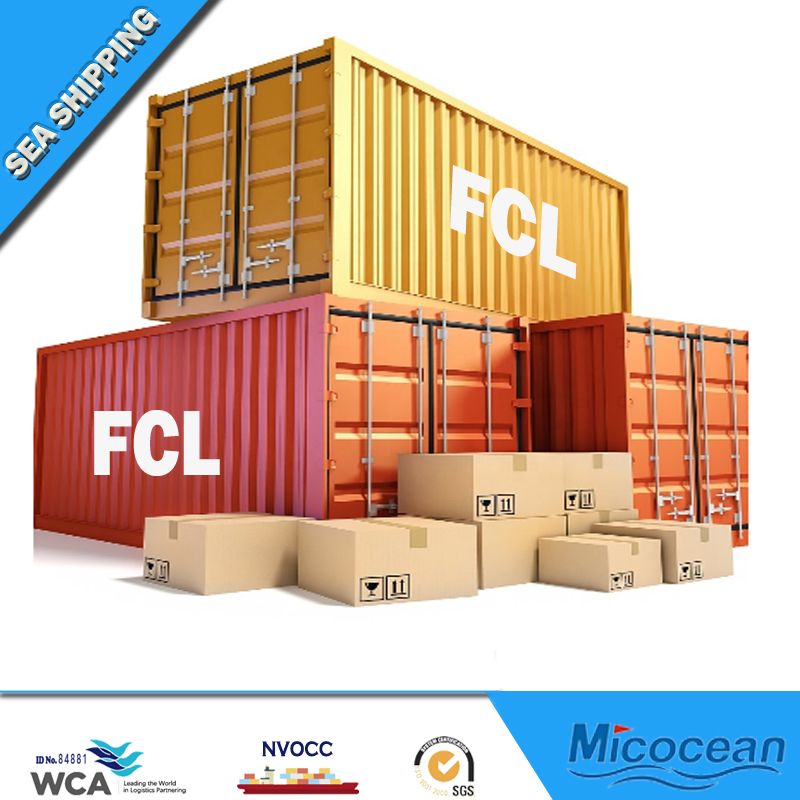 Professional Sea Freight Forwarder Shipping From Chinashanghai/Guangzhou/Shenzhen/Ningbo/Tianjin to Europe, USA, Canada, Australia, Japan, Korea