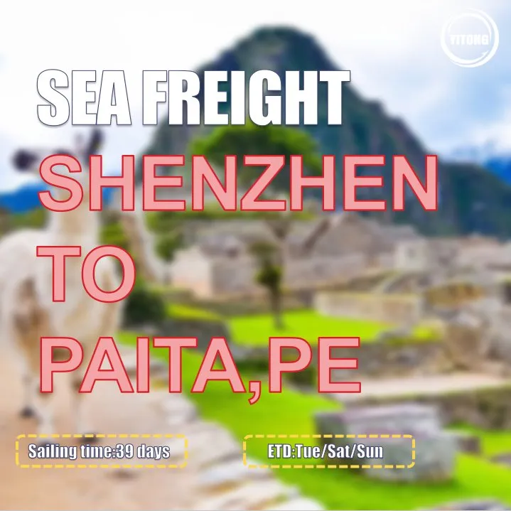 Sea Freight Operation 5
