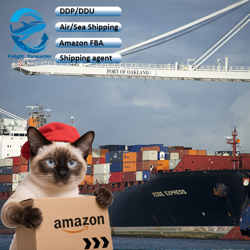 LCL &amp; FCL Shipment Door to Door Sea/Air Freight Customs Clearance Servicer From Shenzhen to Mexico USA Canada