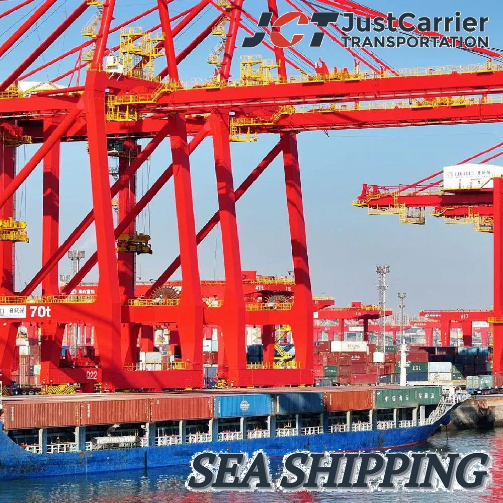 Container Sea Shipping Service Ocean Freight Forwarder From China to Gdynia, Poland