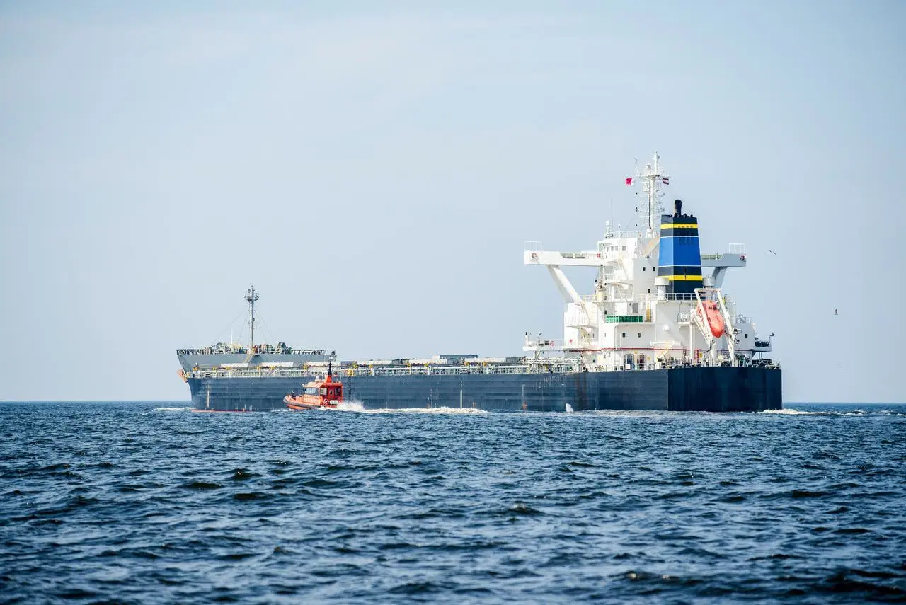 Battery Agent Dangerous Goods Liquid, Powder, Solar, Panel, Sea Freight From China to Worldwide