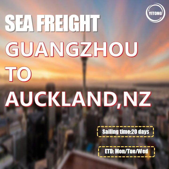 Cargo Agent Freight Logistics Agent Freight Forwarding Transportation Wholesale Cargo Ship for Sale From Shanghai Sea Freight to Auckland New Zealand