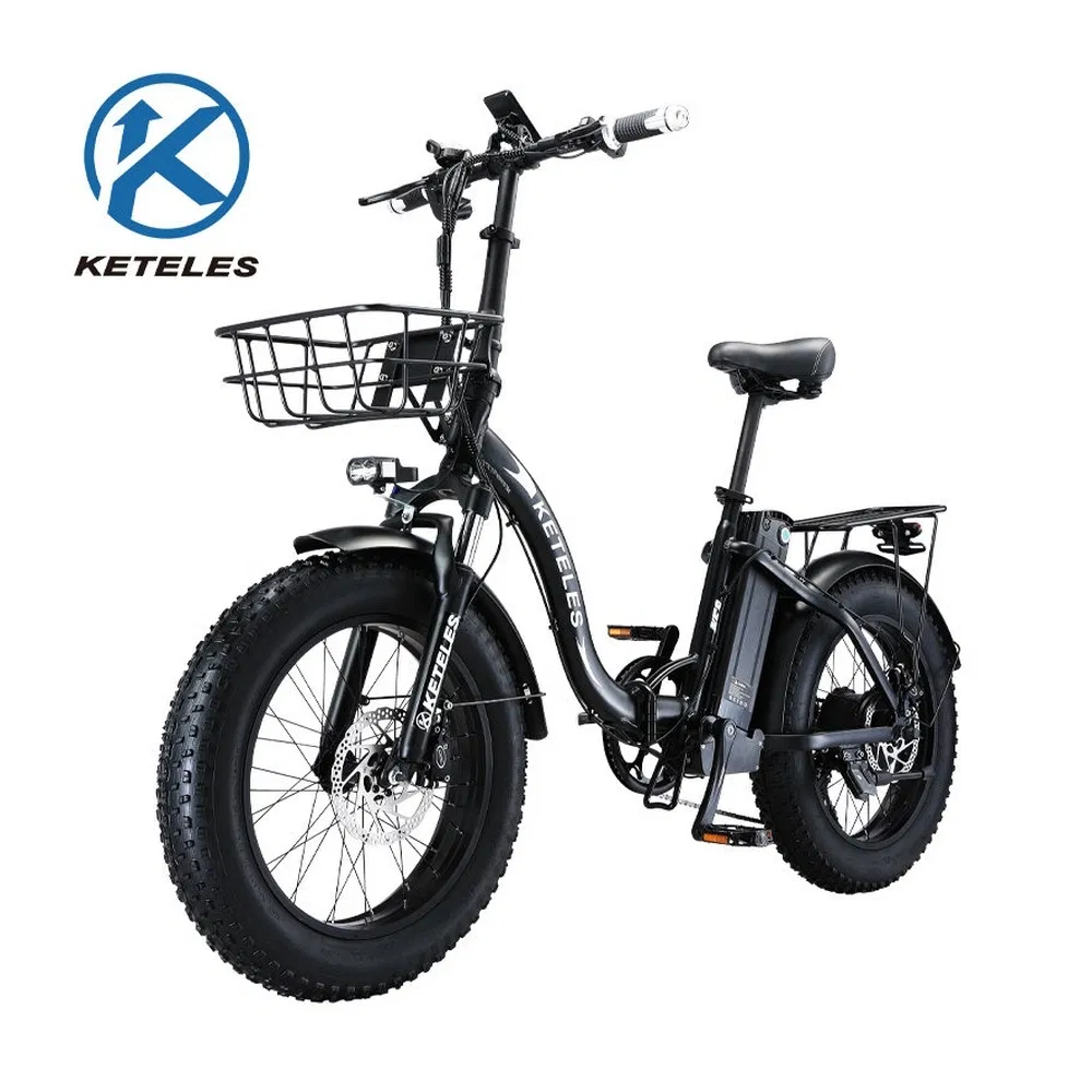 Strong-Climbing Ability Kf9 Single-Motor 350W Electric Aluminum-Alloy Folding Bike for Sandy Terrain