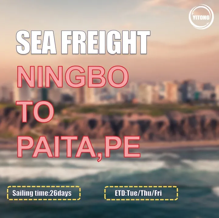 Sea Freight Operation 2