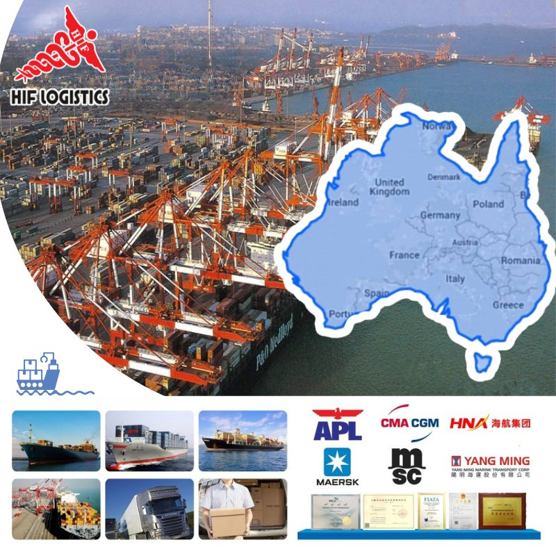 Transportation Agent From Shanghai/Shenzhen to America Turkey Poland Freight Forwarding Agency by Sea Freight Cheap Price Fast Shipping