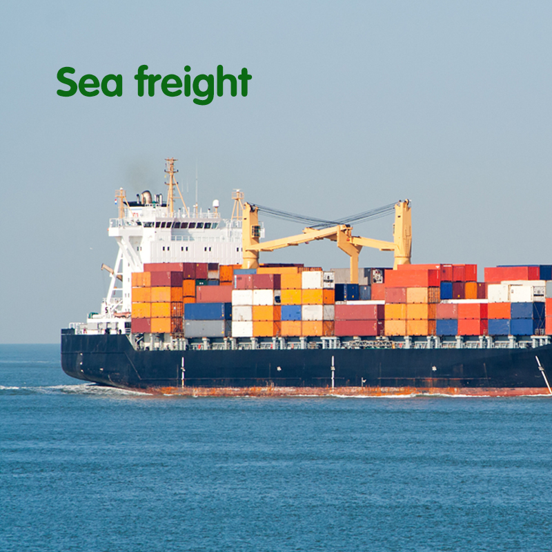 D. G Cargo Logistics Service to Door Canada Air/Sea Cargo Agent China