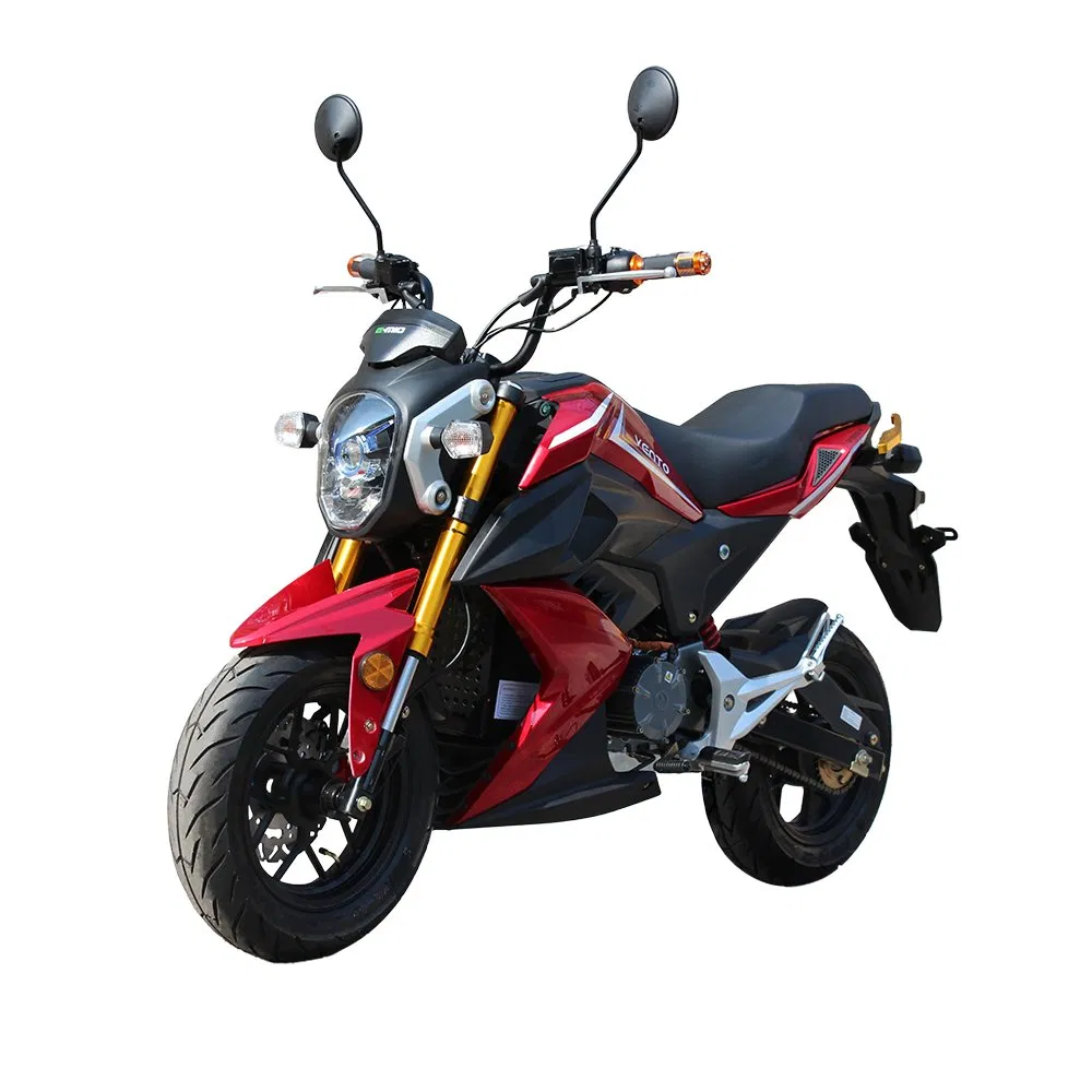 EEC 3000W Factory Sportbike Import Lithium Battery 60V/30ah Electric Motrocycle for Adult