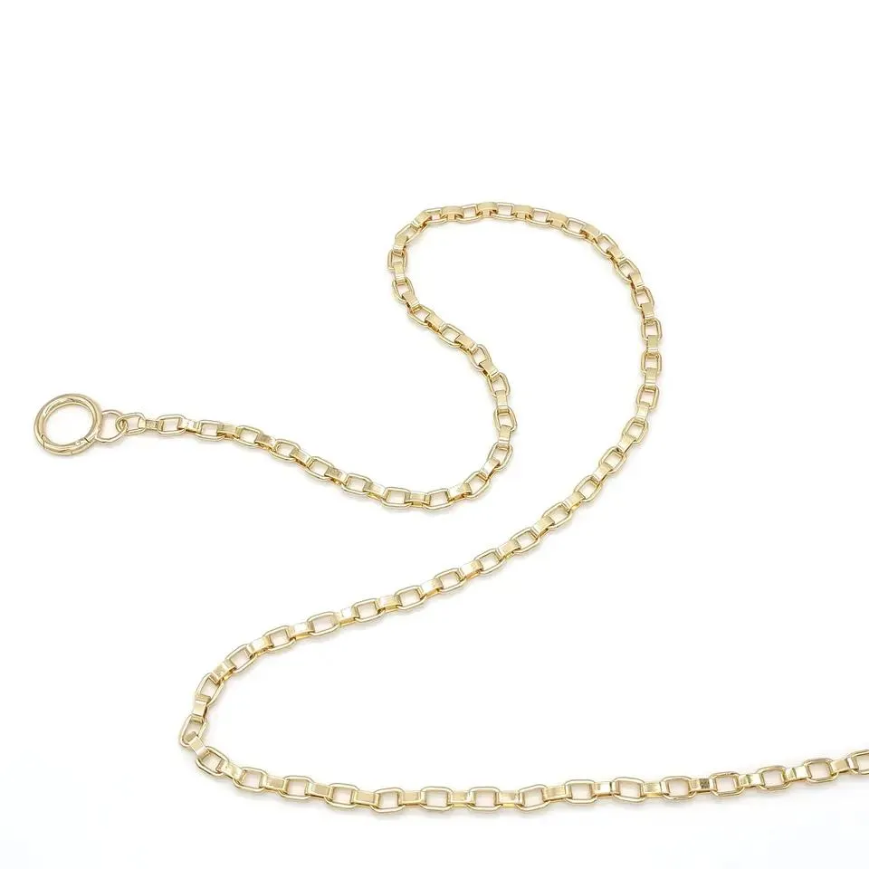 Gold Bag Straps Accessory