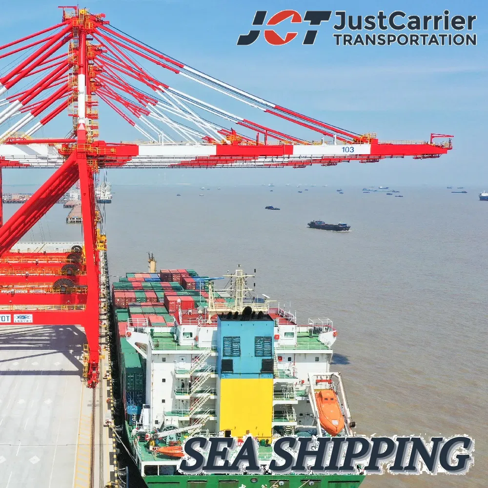 DDU/DDP/to Door/Container Shipping Agent Ocean Freight to Halifax, Canada