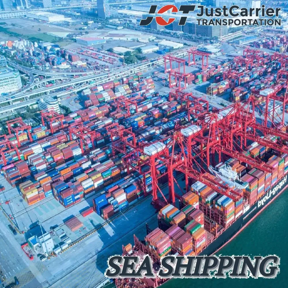 Container Transportation Sea Shipping Ocean Freight Logistics Forwarder to Salalah, Oman