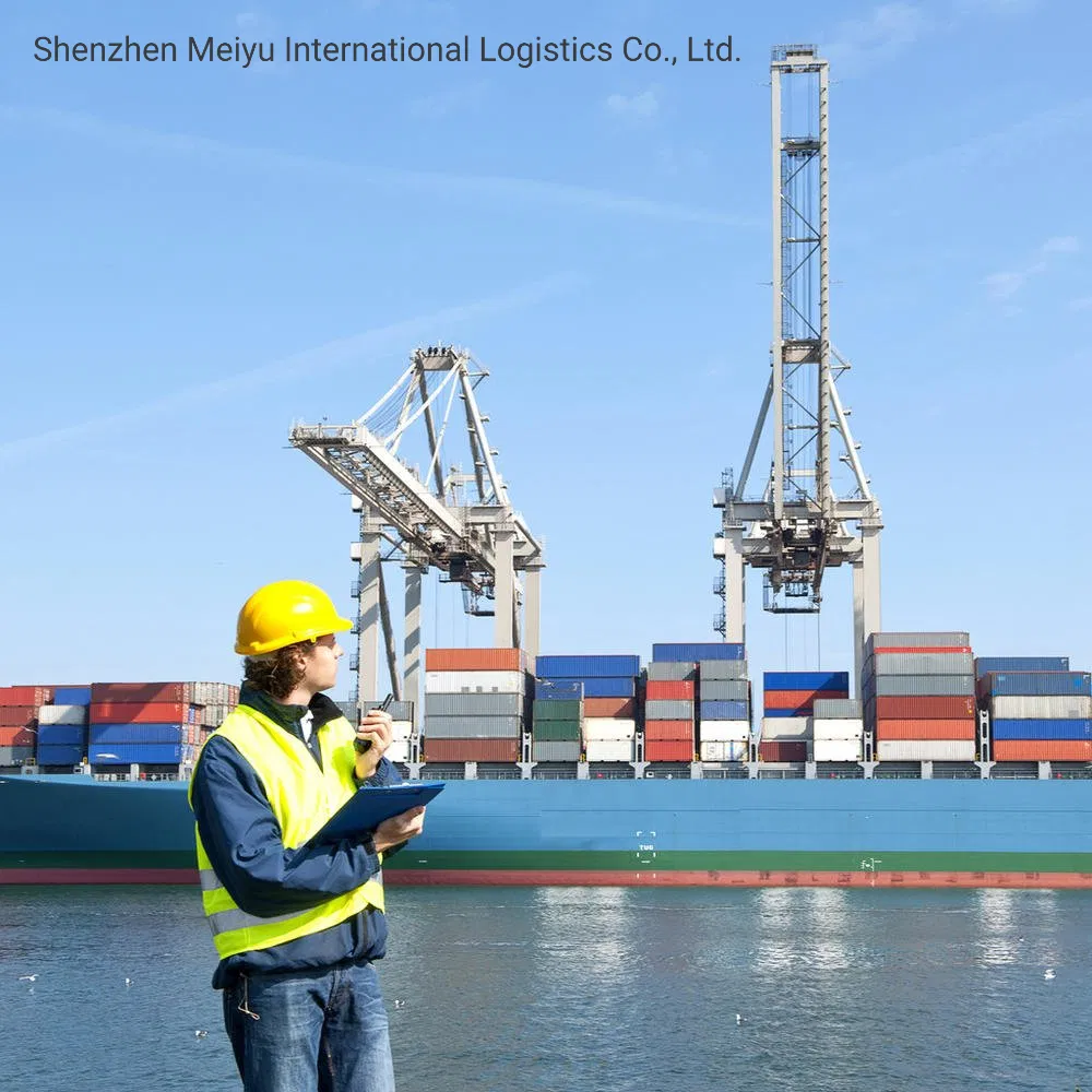 Door to Door Sea Shipping From China to USA Which Includes Customs Clearance and Taxes