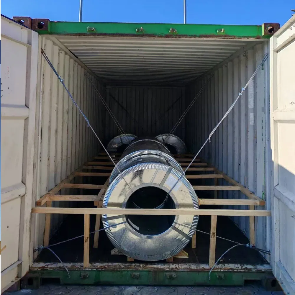 Sea Shipping Freight Forwarder Container Transportation to Asuncion Puerto Seguro Fluvial, Paraguay