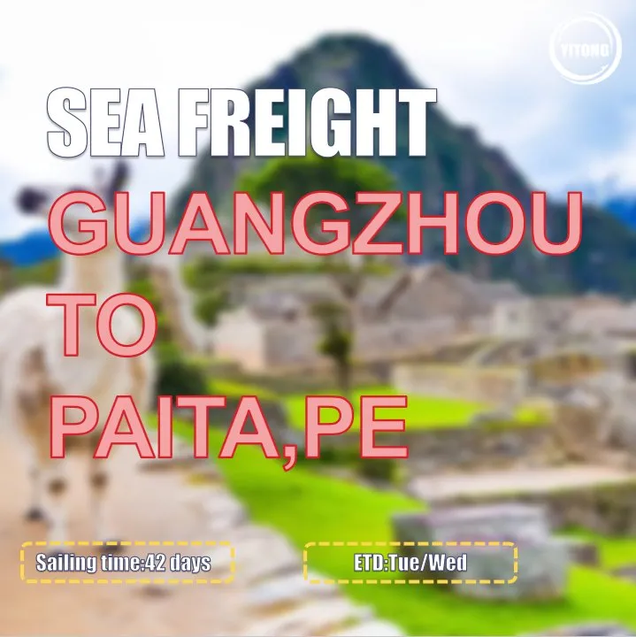 Sea Freight Operation 3