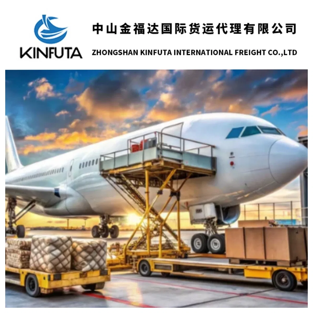 DDP &amp; DDU Shipping From China to USA/Europe/ Germany /France/ Netherlands Customs Clearance Sea/ Air/Train Freight