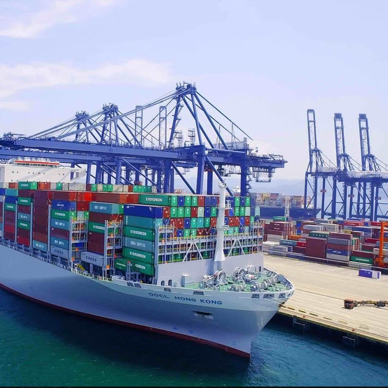 Special USA Logistics Line Sea Shipping Rates From China to USA