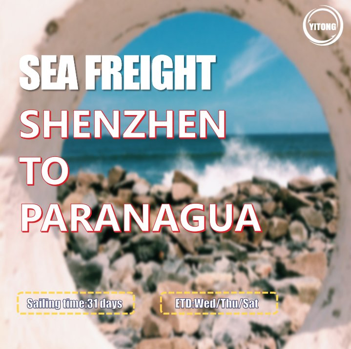 Forwarder Shipping Agent Full or Less Than Container Load DDU DDP Sea Freight Shipping From China to Paranagua Brazil
