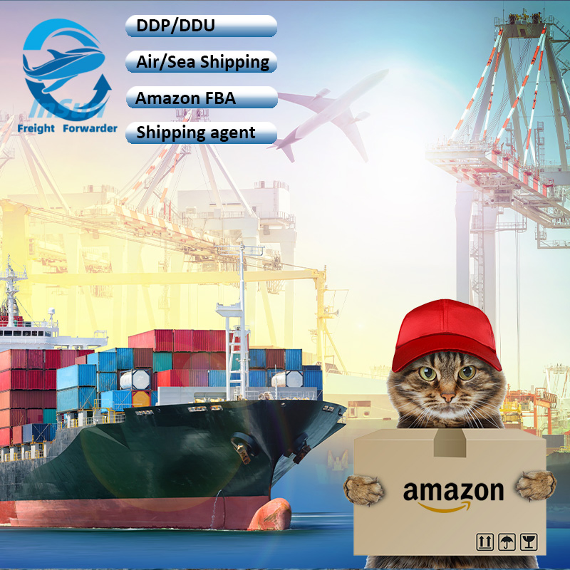 Door to Door Custom Duties Taxes Inclusive to USA/Canada International Quality Inspection Express Fba Warehouse Service