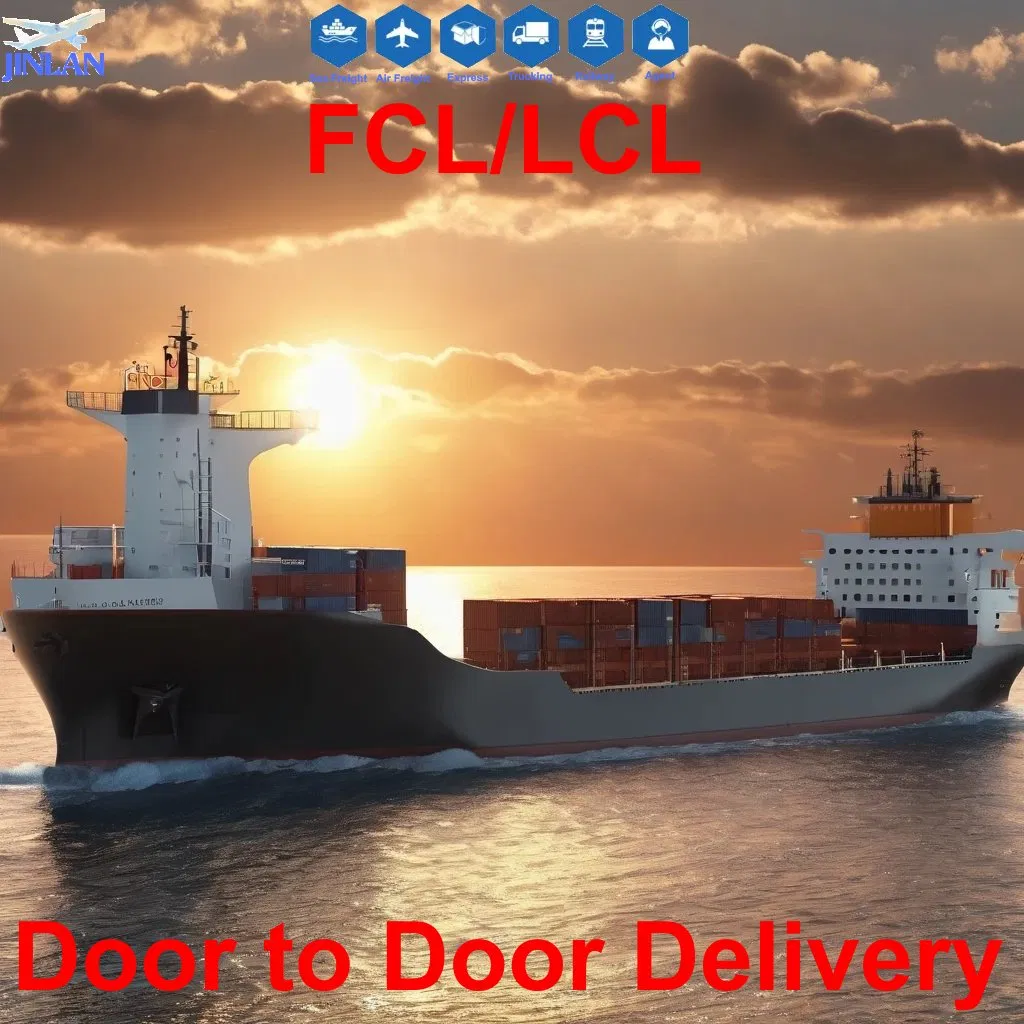 International Logistics Sea Freight From Shenzhen/Guangzhou to UAE, Djibouti, Sudan, Malawi, Mali, Martinique