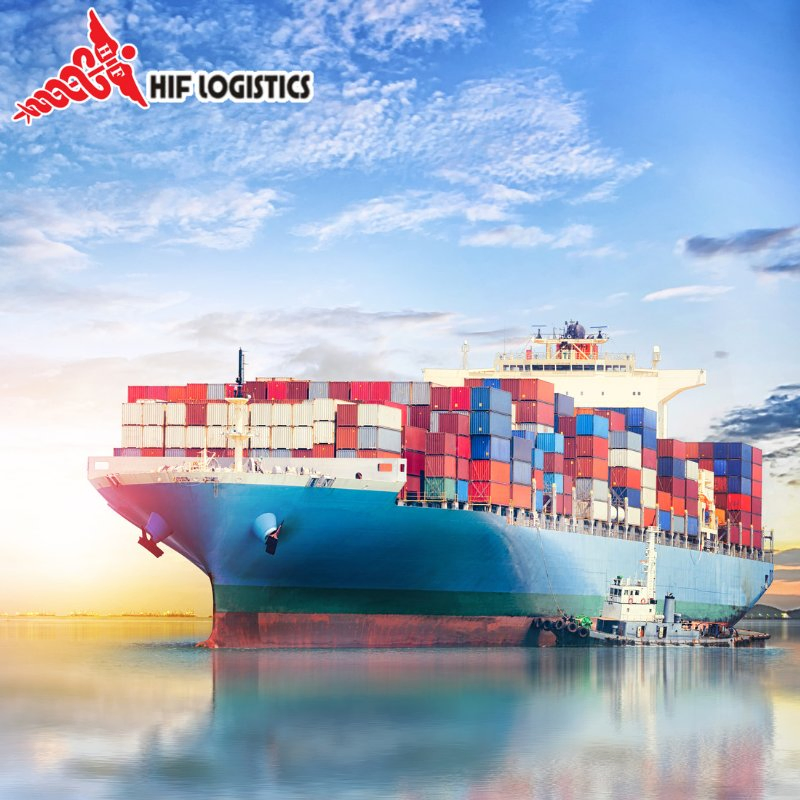 Transportation Agent From Shanghai/Shenzhen to America Turkey Poland Freight Forwarding Agency by Sea Freight Cheap Price Fast Shipping