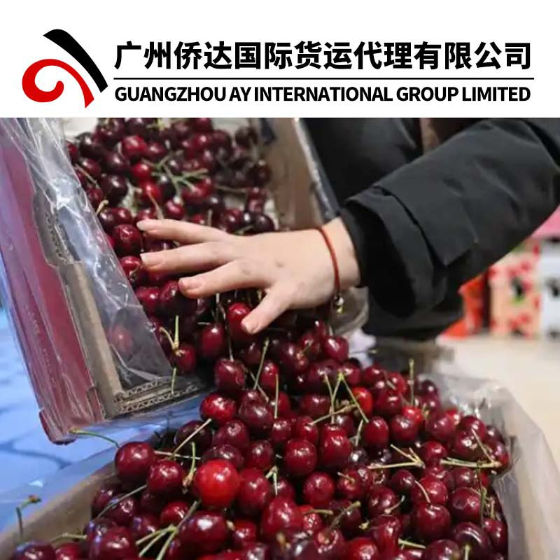 Air Cargo Import to China From Europe/Us/Australia/Africa