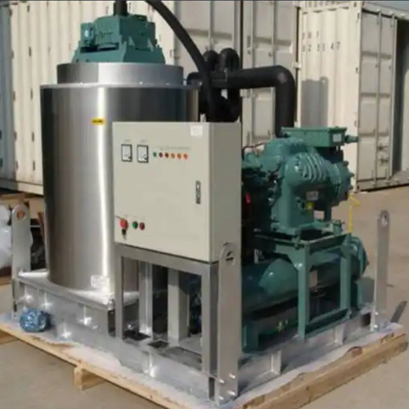 Best Cold Chain Logistics Mini Ice Flake Making Machine