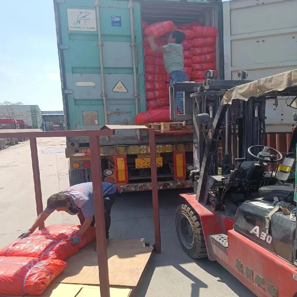 Container Sea Freight Forwarder Shipping Agent Service Logistic Delivery to Calgary, Canada