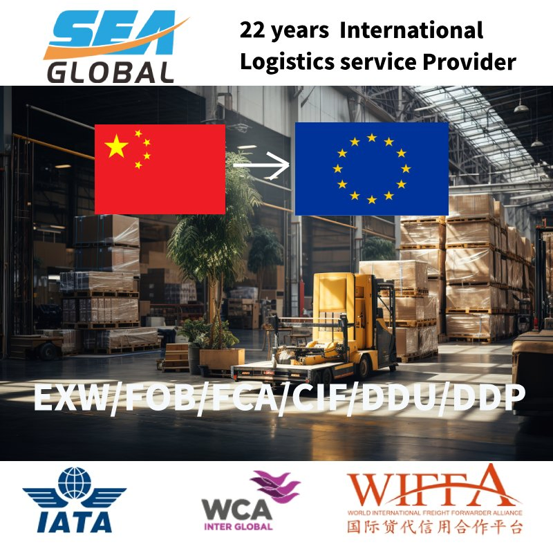 Fob Shanghai to Italy LCL Logistics Forwarder Cost-Effective Timely Shipping