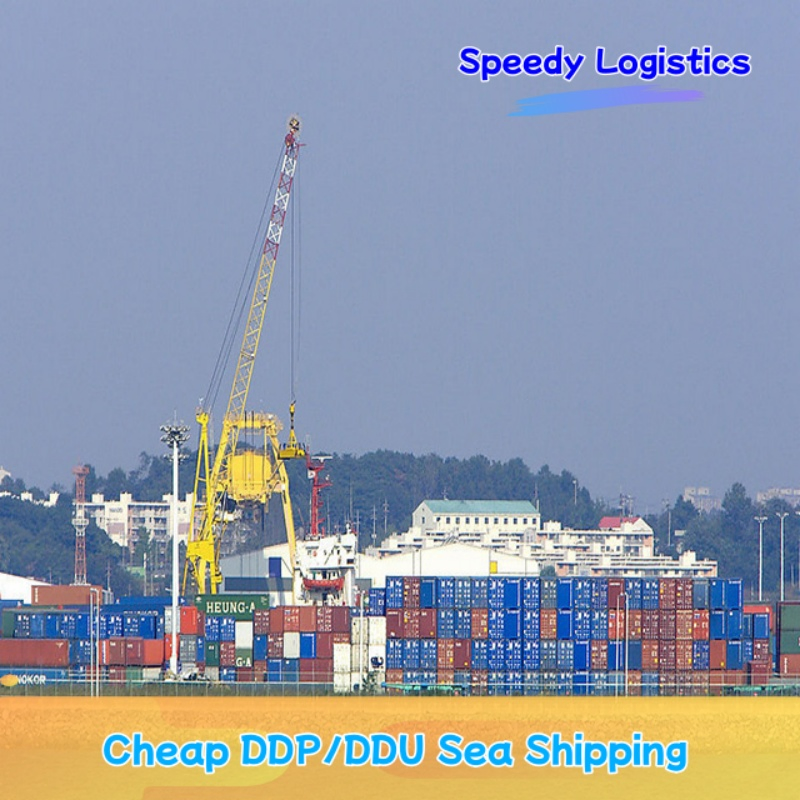 Sea Cargo Shipping Agent Freight Forwarder Shipping to India, Morocco, Nigeria, Turkey, USA, UK International Shipping Company Logistics Service