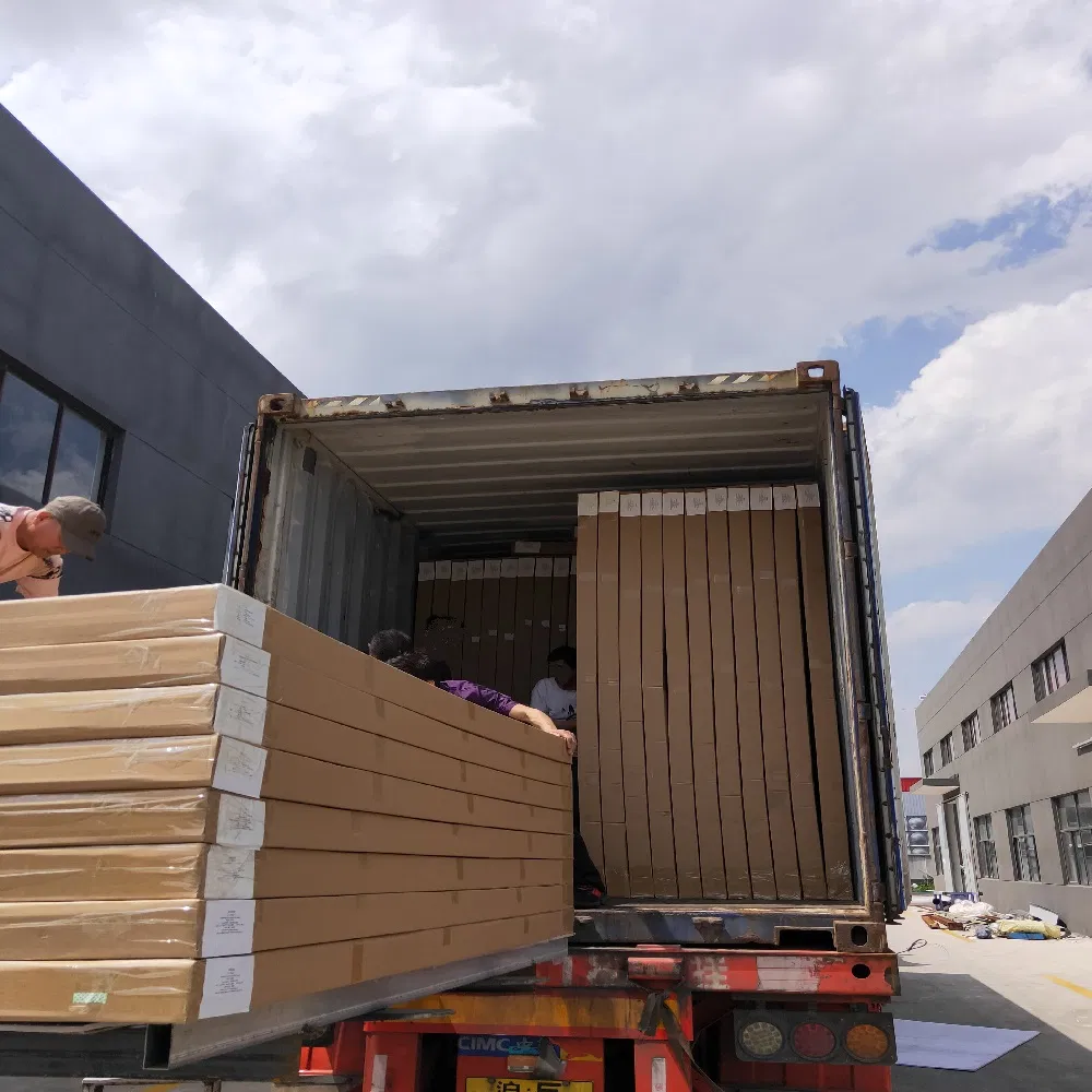 FCL/LCL Sea Shipping Agent Ocean Freight Forwarder From China to Gdansk