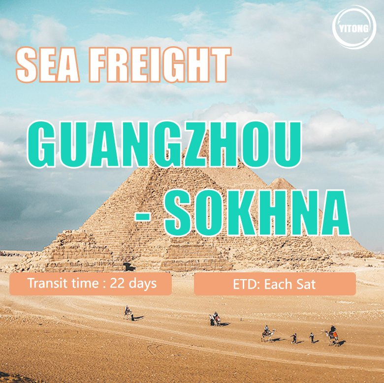 Shipping Agent Freight Forwarding Shipping Agent LCL FCL Weekly Sailing Fast Transit Sea Freight From Shanghai Shenzhen China to Sokhna Port Egypt
