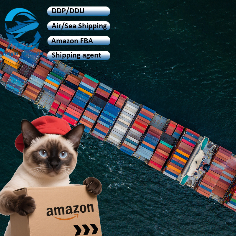 Super Patience DDP/DDU/CIF Shipping Service From China to Europe