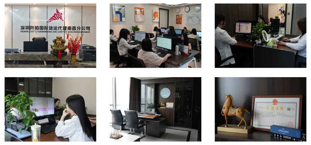 Our Professional Team