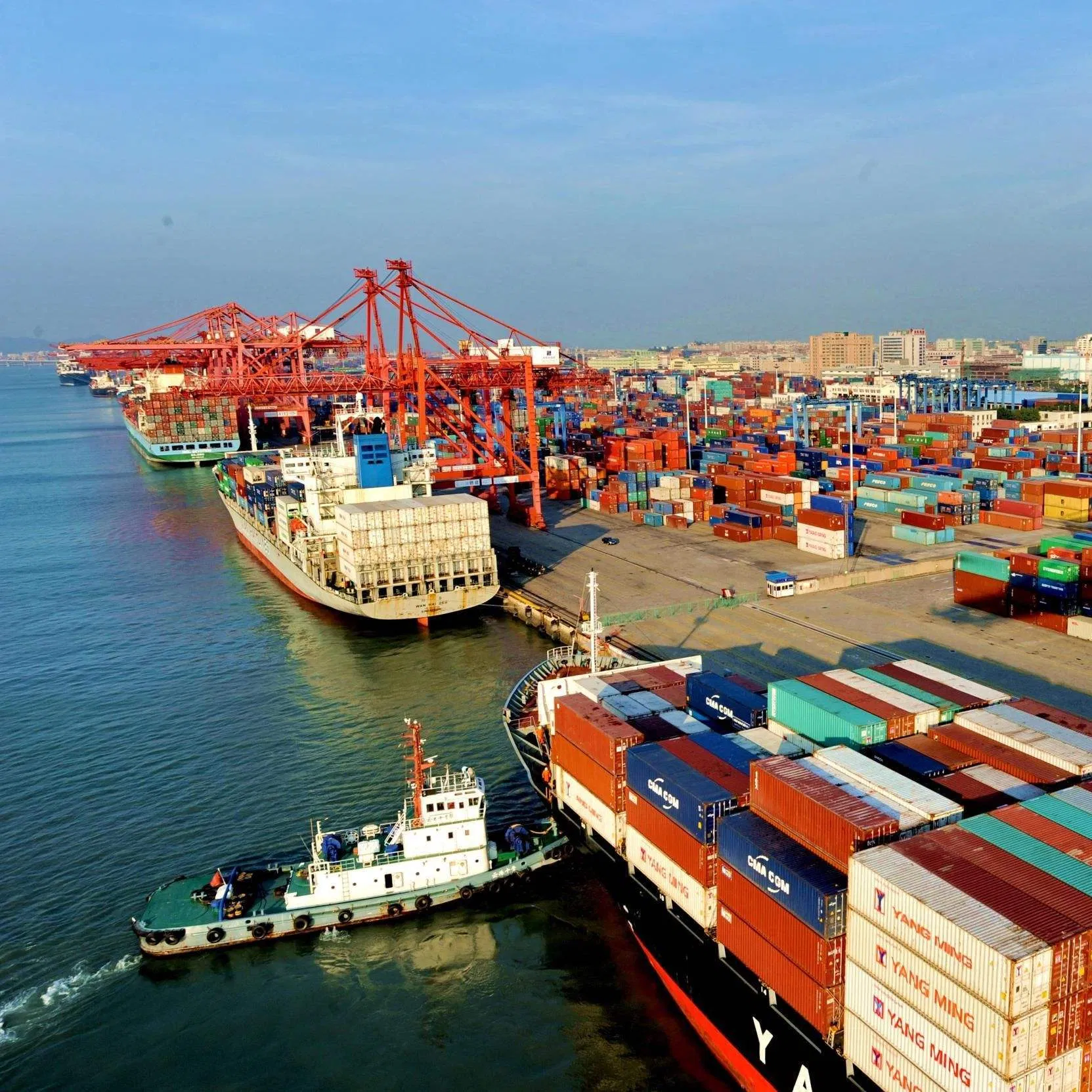 The Cheap Sea Freight From Shenzhen Port to Tuticorin India Port