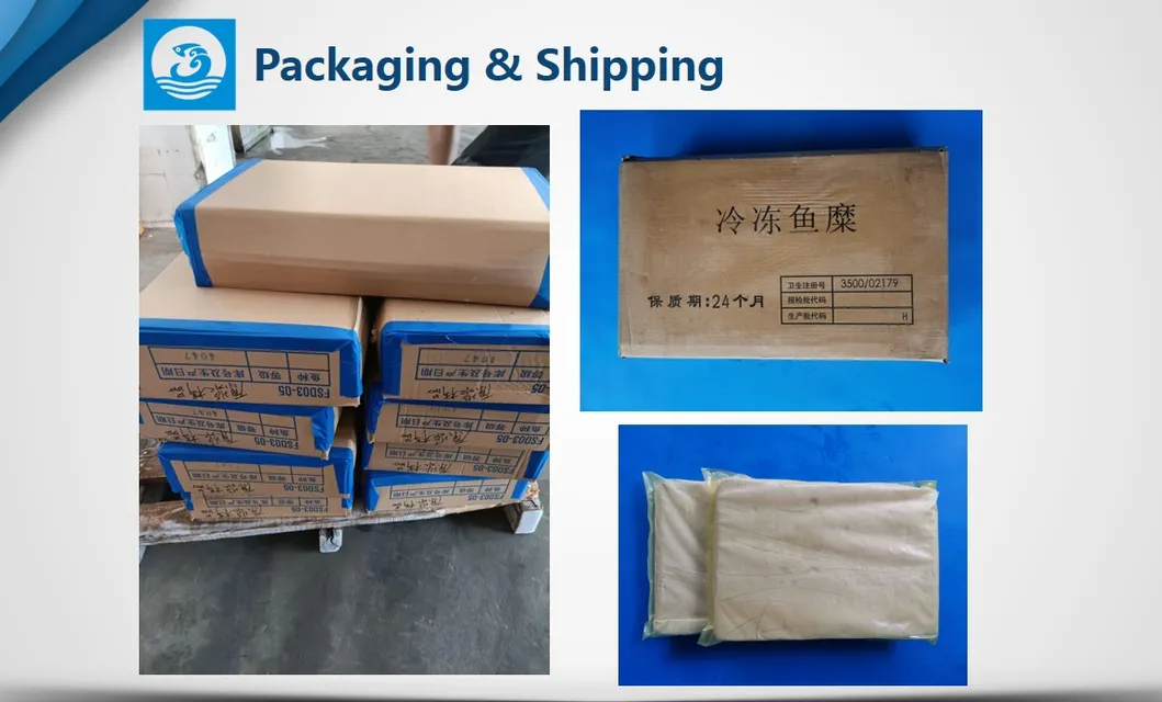Packaging & Shipping