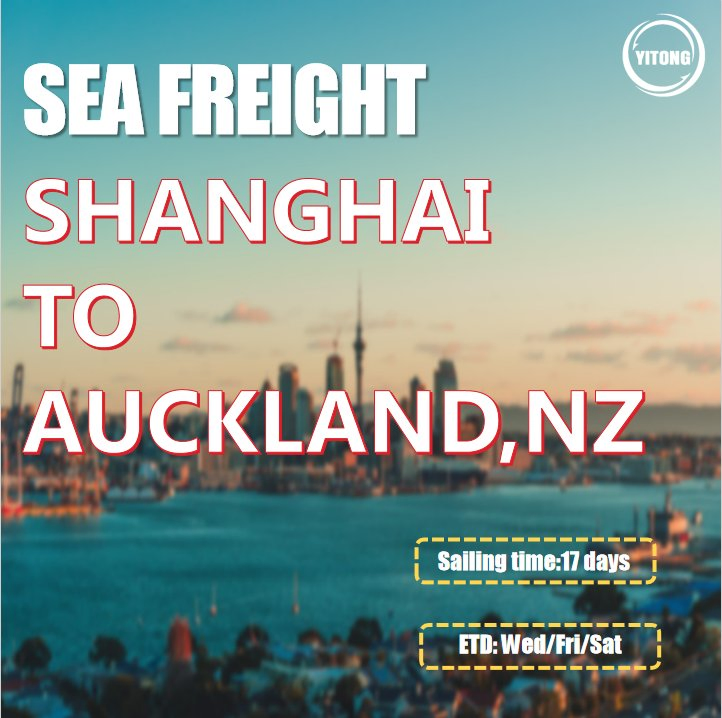 Cargo Agent Freight Logistics Agent Freight Forwarding Transportation Wholesale Cargo Ship for Sale From Shanghai Sea Freight to Auckland New Zealand