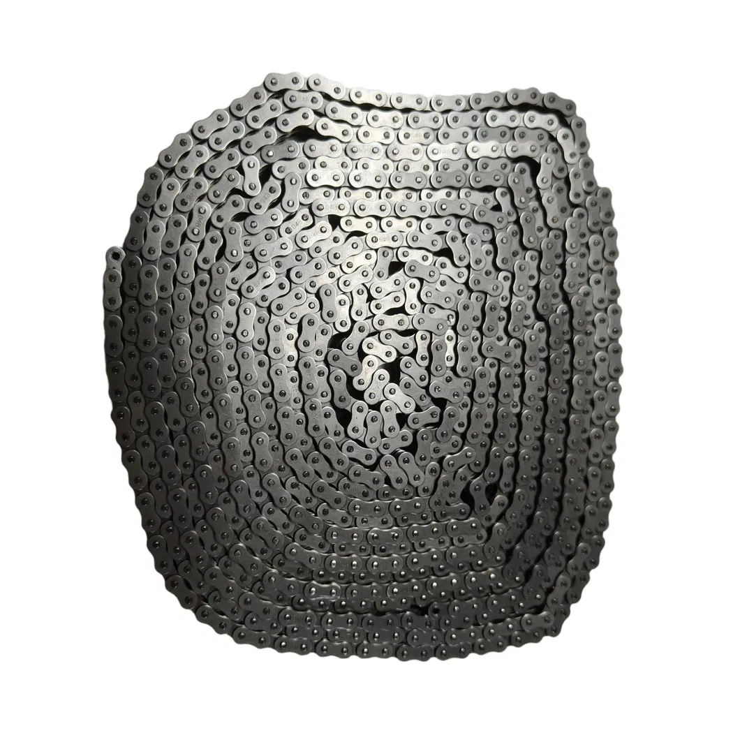 Roller Chain Detail 1