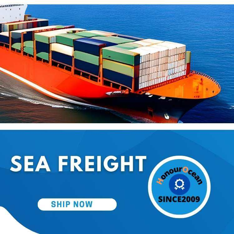 Professional FCL Full Container Load Shipping Agent and Freight Forwarder Shipping From China to Amazon Fba Warehouse