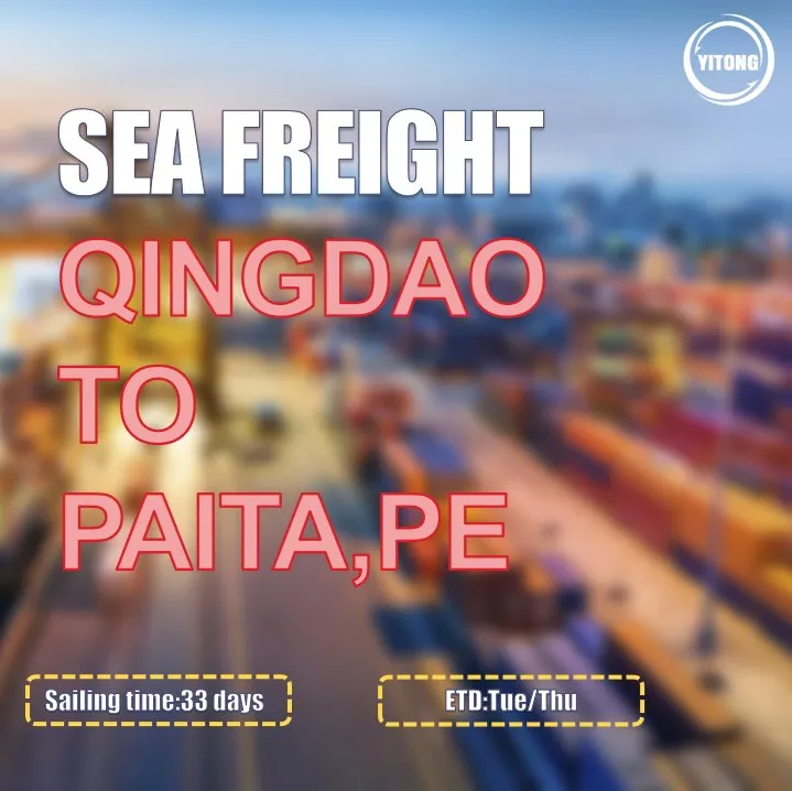 Sea Freight Operation 6