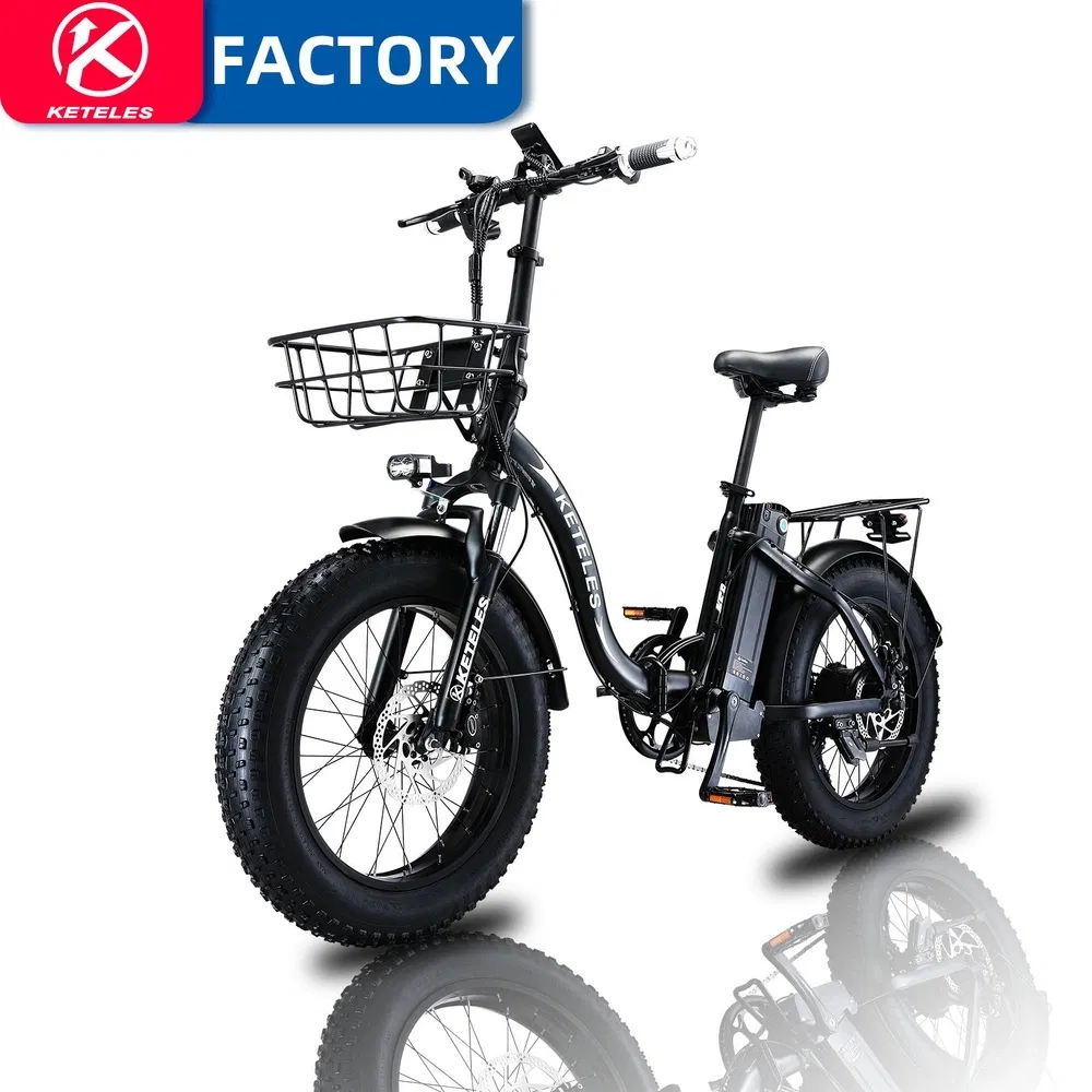 Strong-Climbing Ability Kf9 Single-Motor 350W Electric Aluminum-Alloy Folding Bike for Sandy Terrain