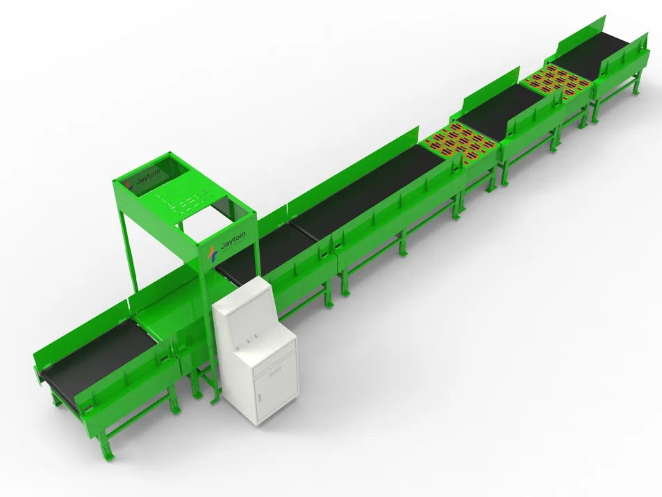DWS Scan Automated Parcel 2