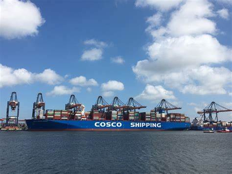 Sea Shipping Service Sea Freight From Guangzhou, Ningbo, Shanghai, Xiamen, Qingdao to Algiers, Algeria