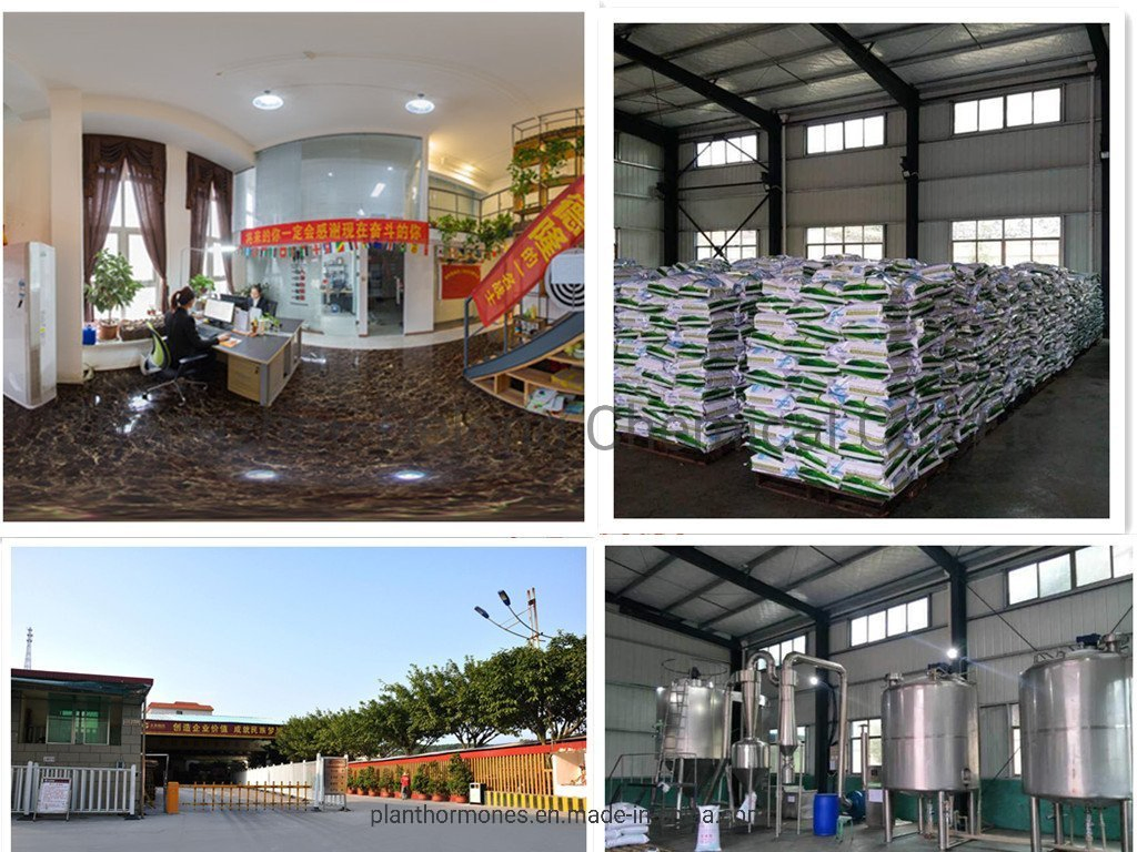 Cytokinins Dihydrozeatin Dl-Dihydrozeatin 99%Tc No Need Import Permit