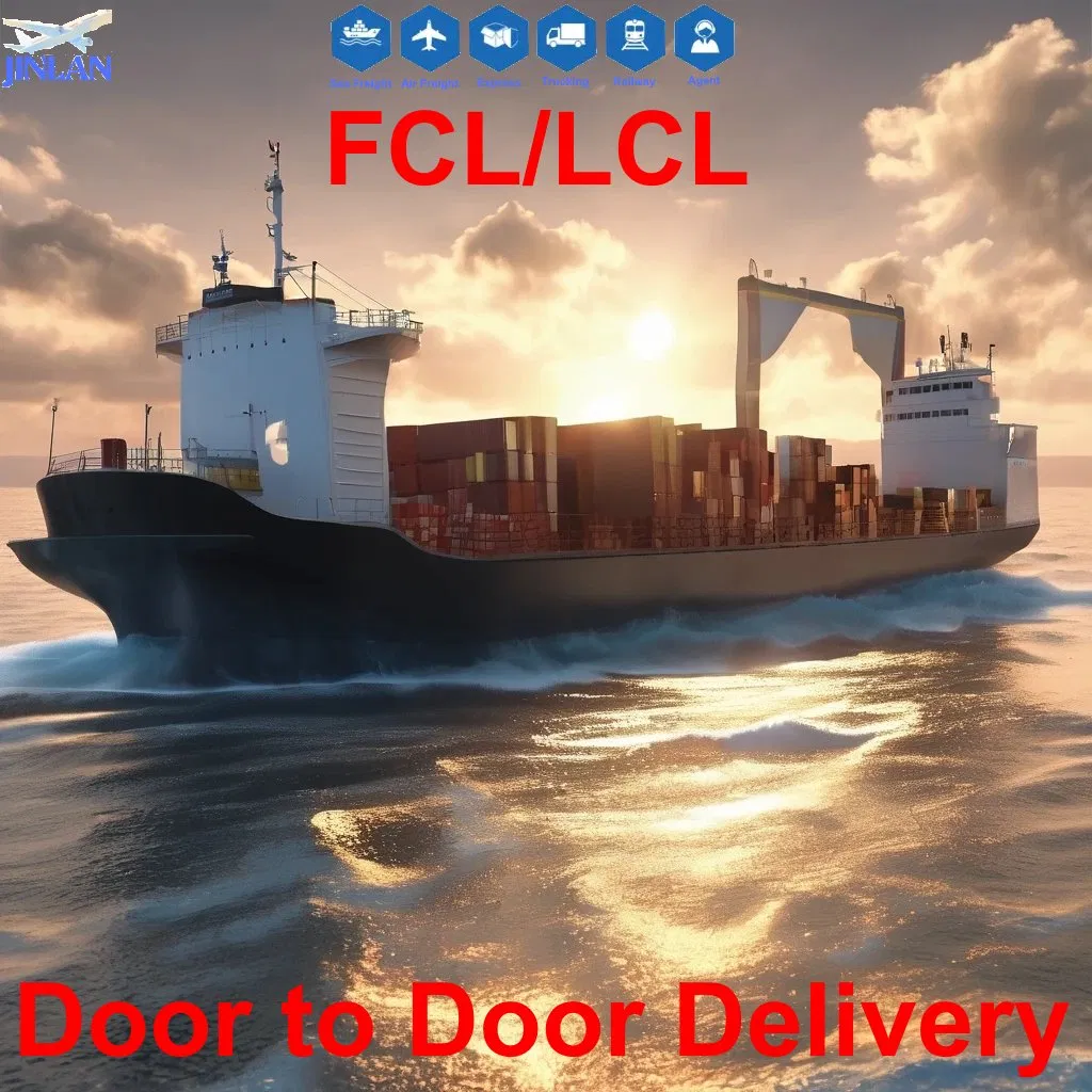 International Logistics Sea Freight From Shenzhen/Guangzhou to UAE, Djibouti, Sudan, Malawi, Mali, Martinique