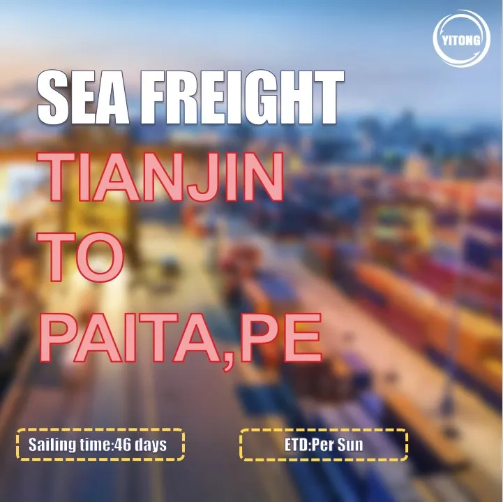 Sea Freight Operation 4